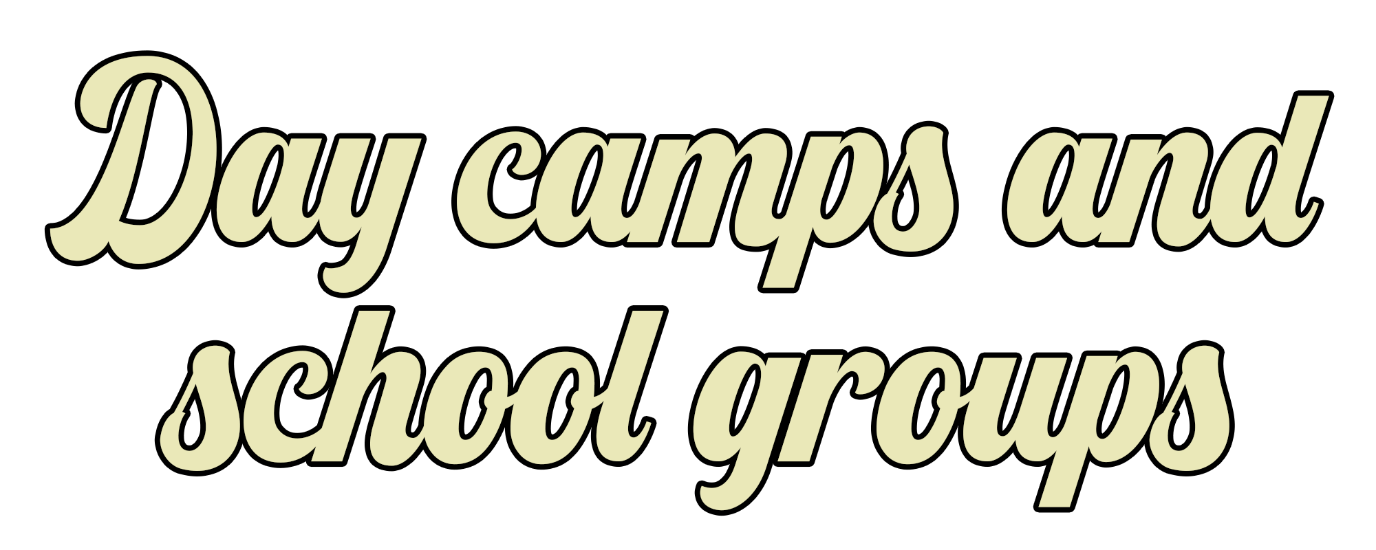 day camps school groups